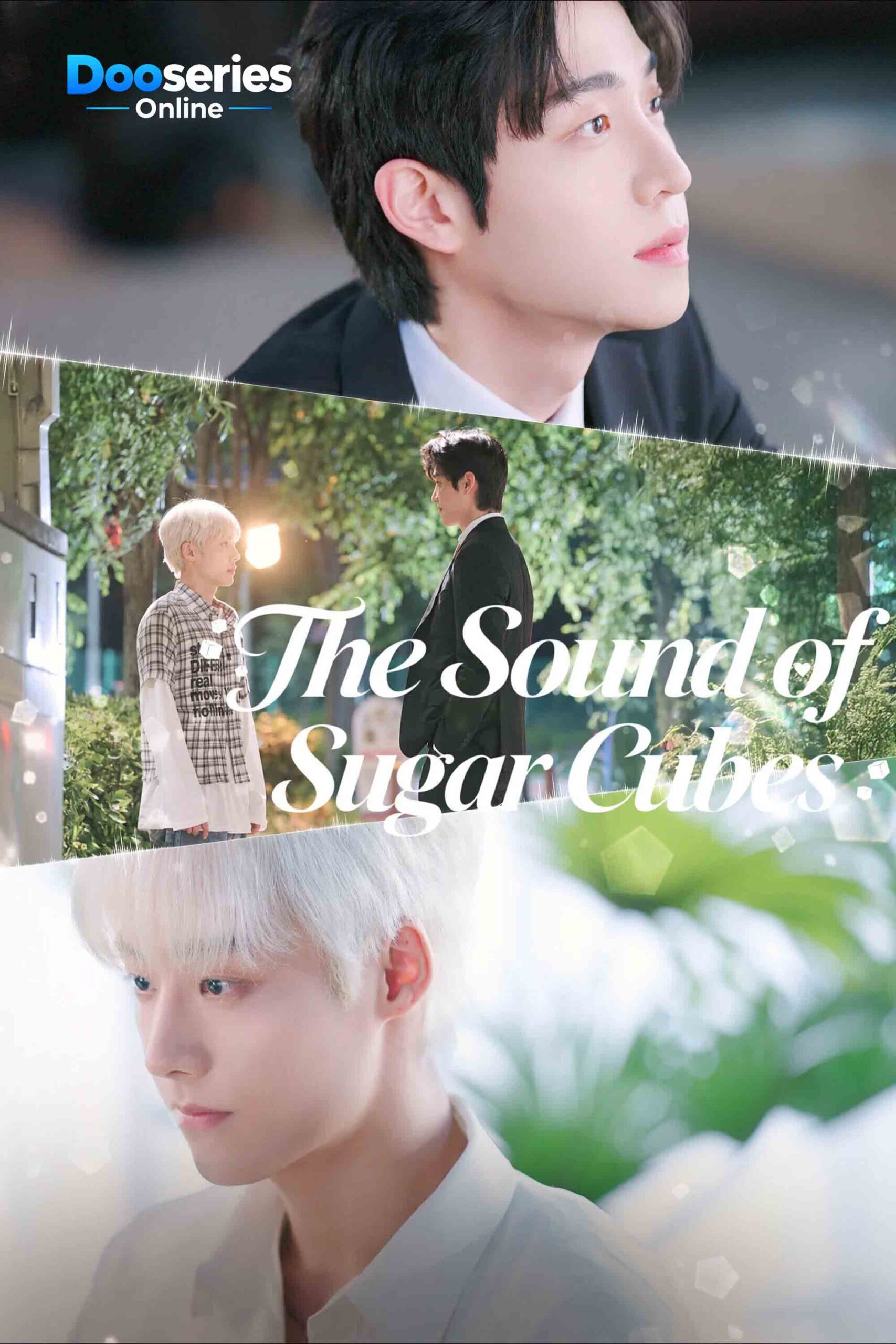 ดูซีรี่ย์ เสียงรักรสหวาน (ซับไทย) The Sound of Sugar Cubes (2026)